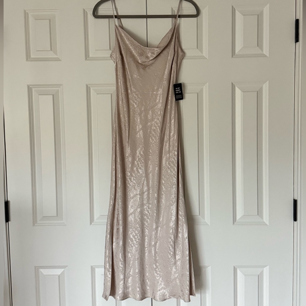 Express Shimmering Beige Maxi Dress